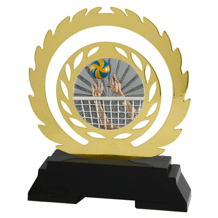 Volleybal Award