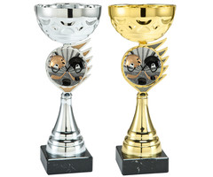 IJshockey Beker