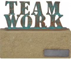 Teamwork award