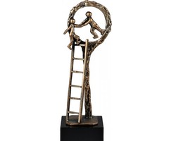 Samenwerkings award