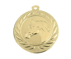 Paarden medaille