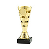 Trofee Goud/zilver/Brons