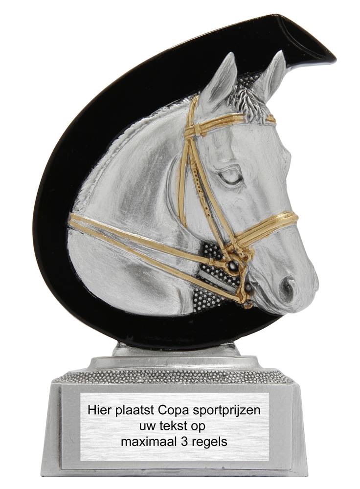abces achterlijk persoon Accommodatie Paardensport prijs - Copa sportprijzen