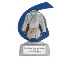 Karate/Judo trofee