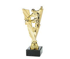 Voetbal trofee