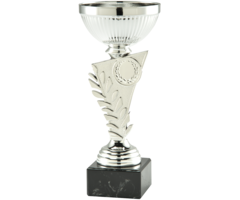 Trofee Lauwer