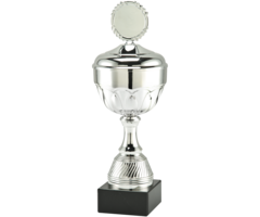 Trofee zilver