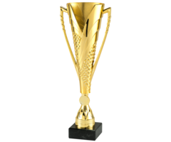 Beker Goud/Zilver/Brons