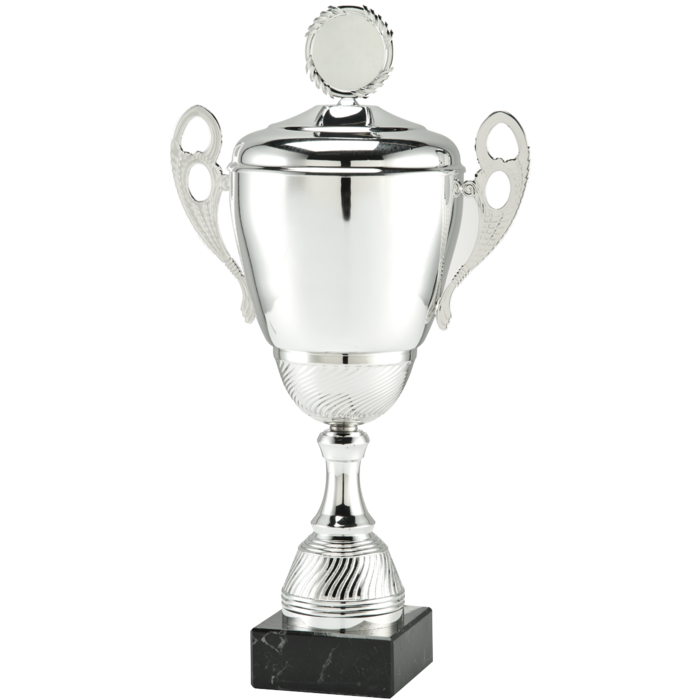 Wisselbekers zilverkleur