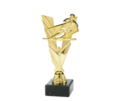 Ski trofee
