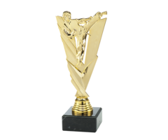 Karate trofee