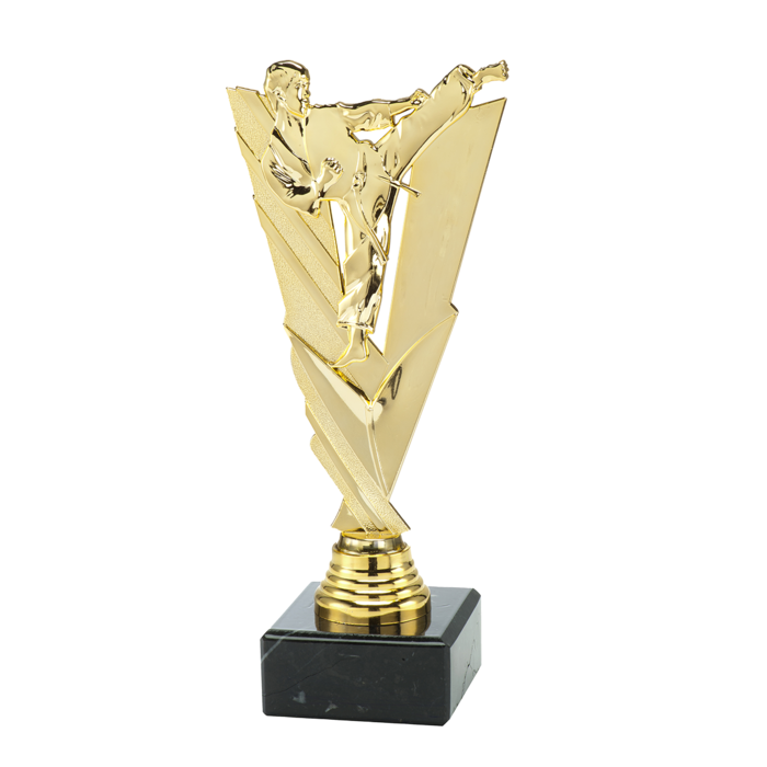 Karate trofee  20.5cm