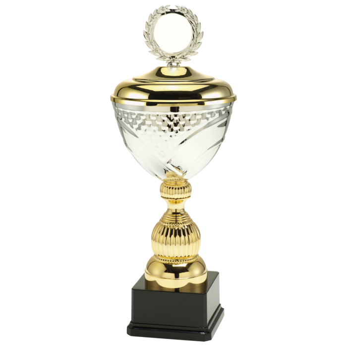 Trofee zilver/goud