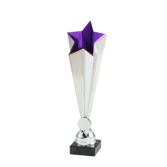 Bekers star zilver/paars