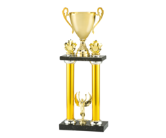 Trofee luxe goud