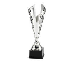 Trofee zilver