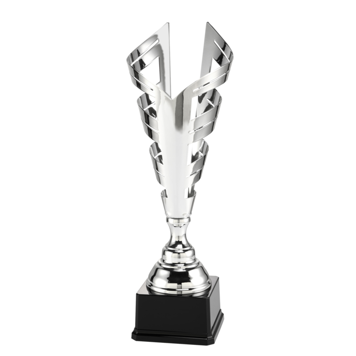 Trofee zilver