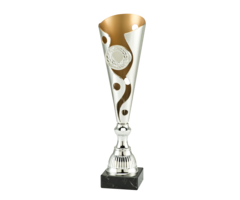 Trofee zilver/goud