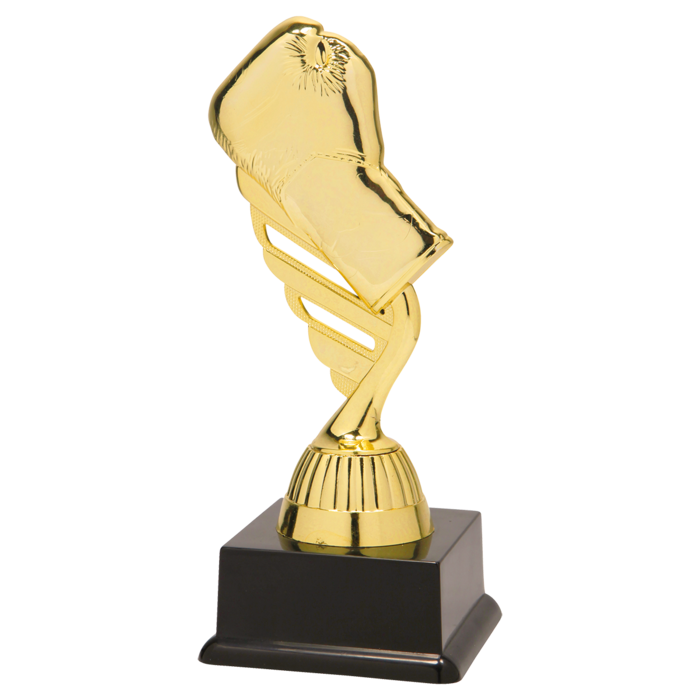 Boks trofee