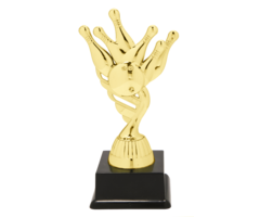Bowling trofee