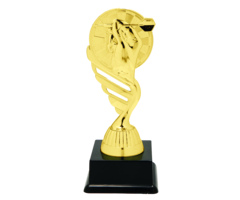 Dart trofee