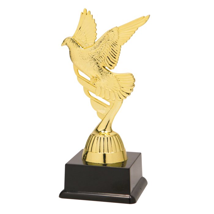 Trofee Duiven