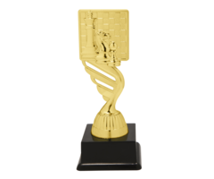 Schaak trofee