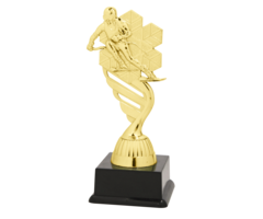 Ski trofee