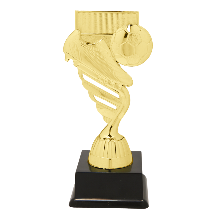 Voetbaltrofee schoen