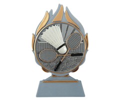 standaard Badminton