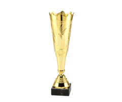 Trofee  goud