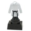 Martial arts trofee 13 t/m 15.5cm