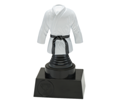 Martial arts trofee 13 t/m 15.5cm