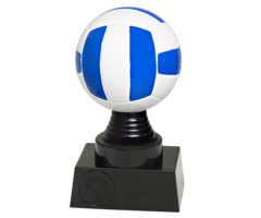 Volleybal trofee 13 t/m 15.5cm