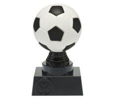 Voetbal trofee 13 t/m 15.5cm