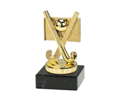 Hockey figuur op marmer