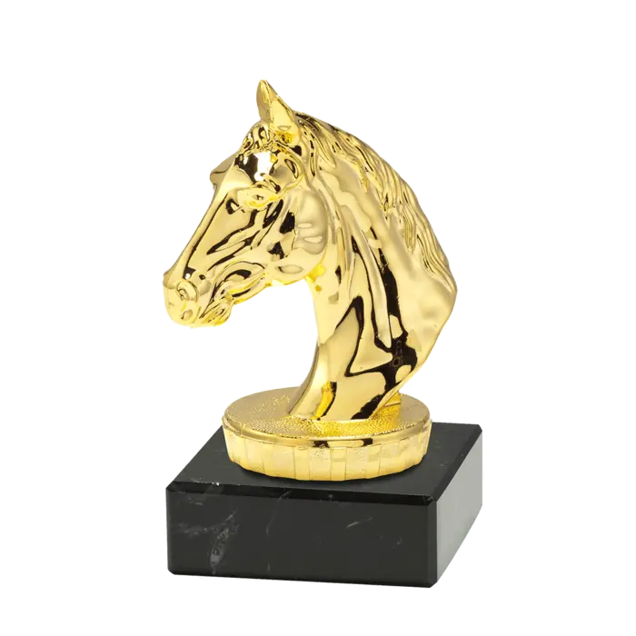 Paardenhoofd op marmer