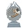 Biljart trofee