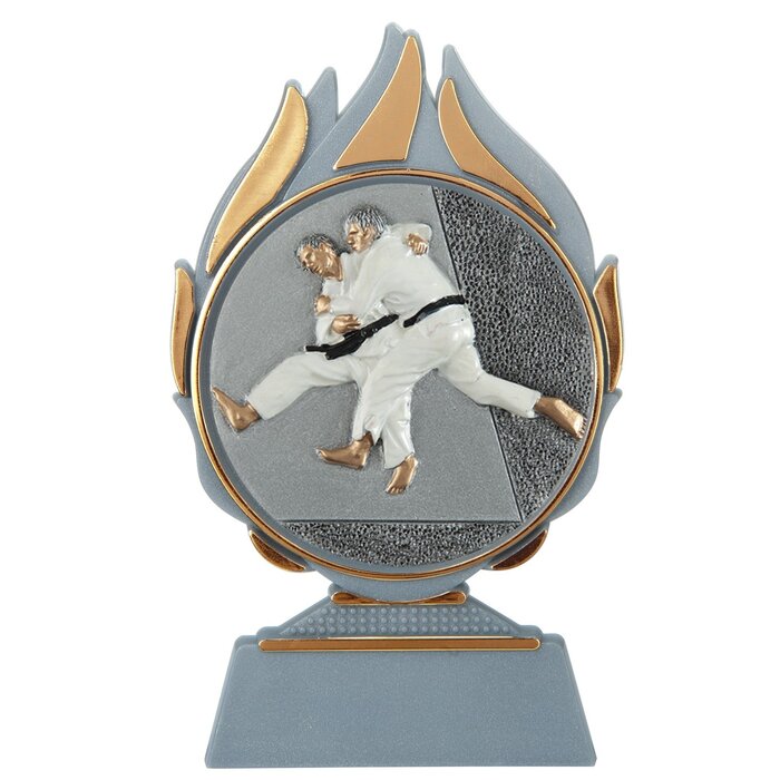 Judo trofee