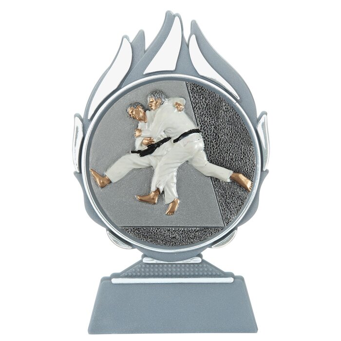 Judo trofee