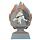 Judo trofee