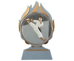 Karate trofee