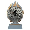 Dressuur trofee