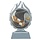 Tennis trofee