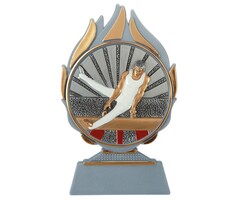 Trofee Turnen Heren