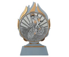 Wielren trofee