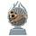 Voetbal trofee