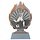 Voetbal trofee