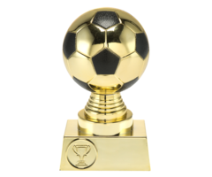 Voetbal trofee