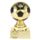 Voetbal trofee